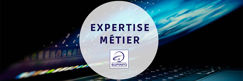 SUPINFO expertise métier